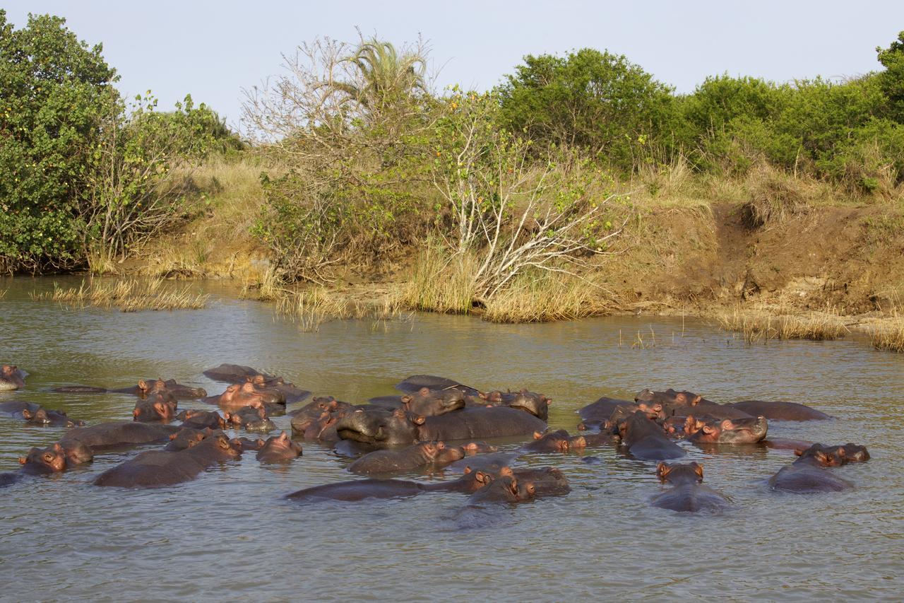 Lodge Afrique Saint Lucia Estuary Eksteriør billede